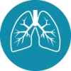 Lungs